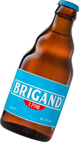 brigand-kasteel.png