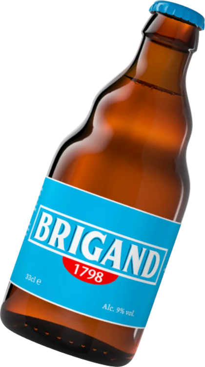 brigand-kasteel.png